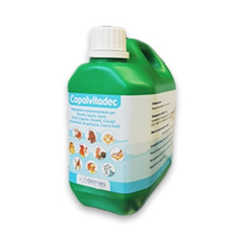 COPALVITADEC LIQUIDO 1 kg. - 