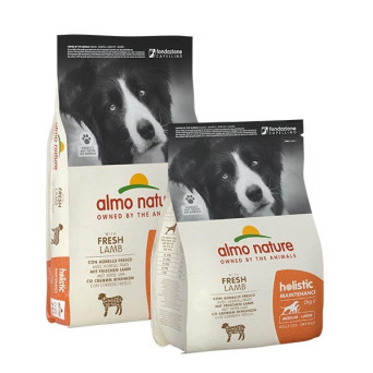 ALMO NATURE Holistic Medium Agnello e Riso 2 kg. - 