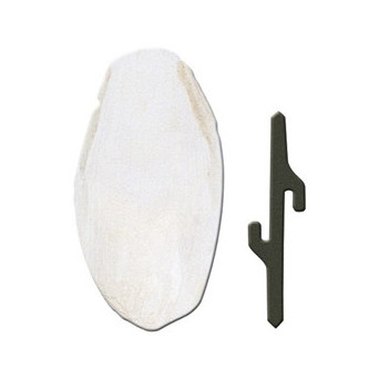 FERPLAST Osso di Seppia 1 Accessorio | 5 x 1,5 x h 12,5 cm - 