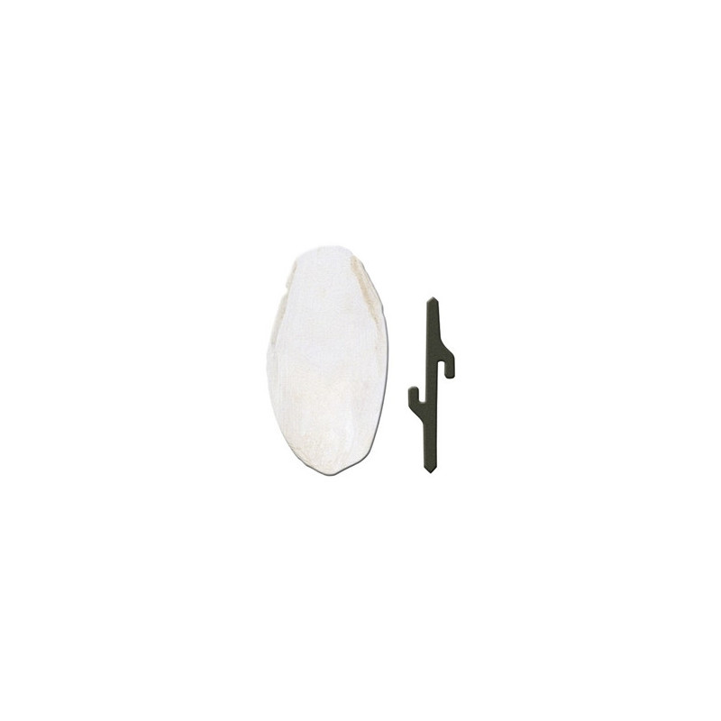 FERPLAST Osso di Seppia 1 Accessorio | 5 x 1,5 x h 12,5 cm - 