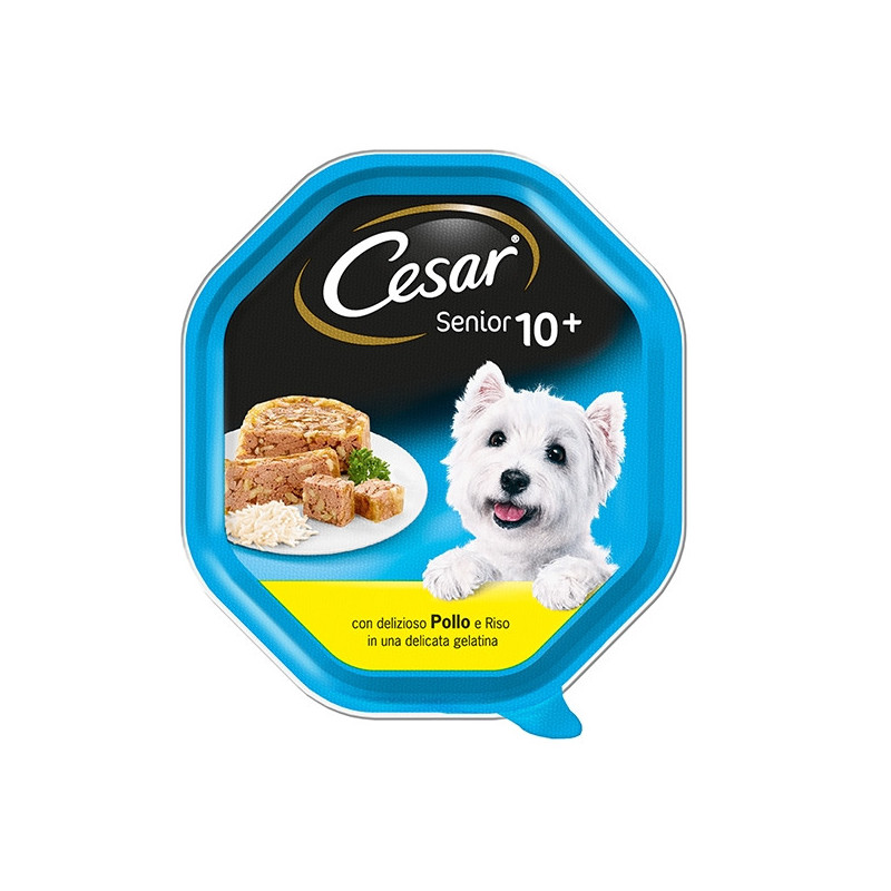 CESAR Senior 10+ Pollo e Riso in Gelatina 150 gr. - 