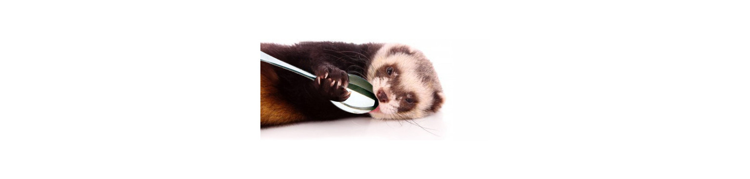 Buy Complementary FOOD for FERRETS