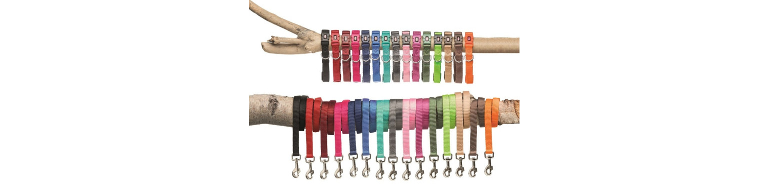 Pet Leashes Online