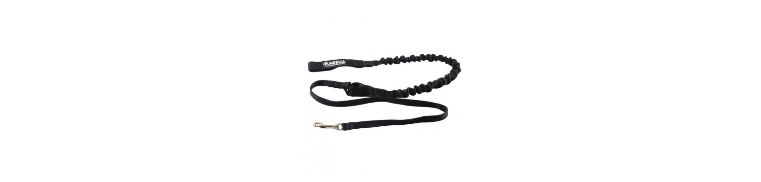 Pet Leashes Online