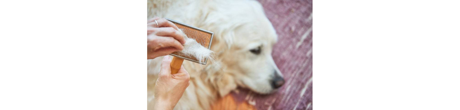 BRUSHES AND COMBS