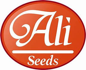 ALI' SEEDS