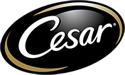 CESAR