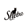 SHEBA